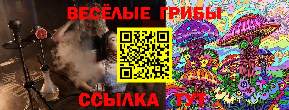 Псилоцибиновые грибы мухоморы  Псилоцибиновые грибы ЛСД  продажа наркотиков  Мичуринск  Вход с VPN 