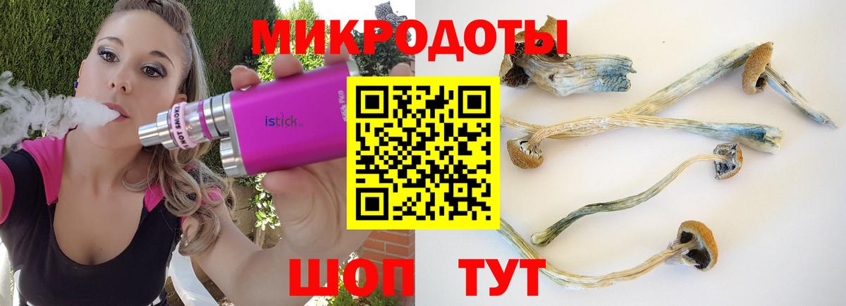 Галлюциногенные грибы Magic Shrooms Мичуринск